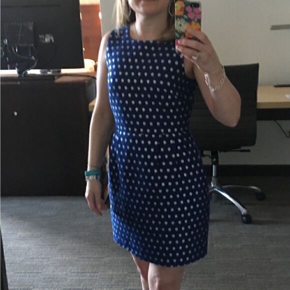 J. Crew Sparkle Polka Dot Dress in Blue and Silver - Picture 5 of 14